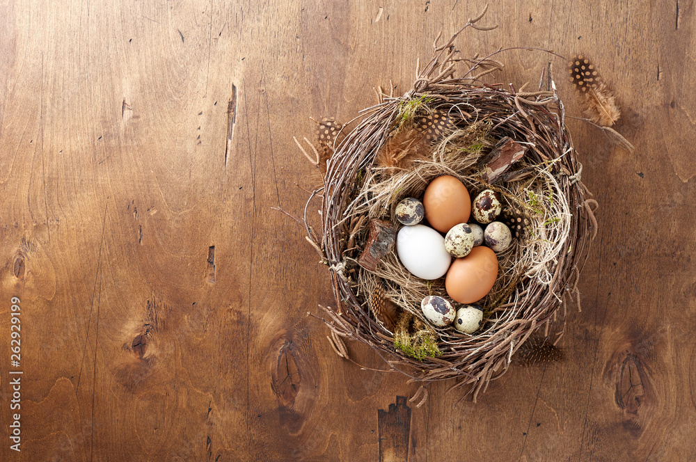 Easter nest of birch twigs and green moss with chicken and quail eggs on wooden background