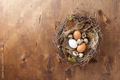 Obraz na płótnie Easter nest of birch twigs and green moss with chicken and quail eggs on wooden background w salonie
