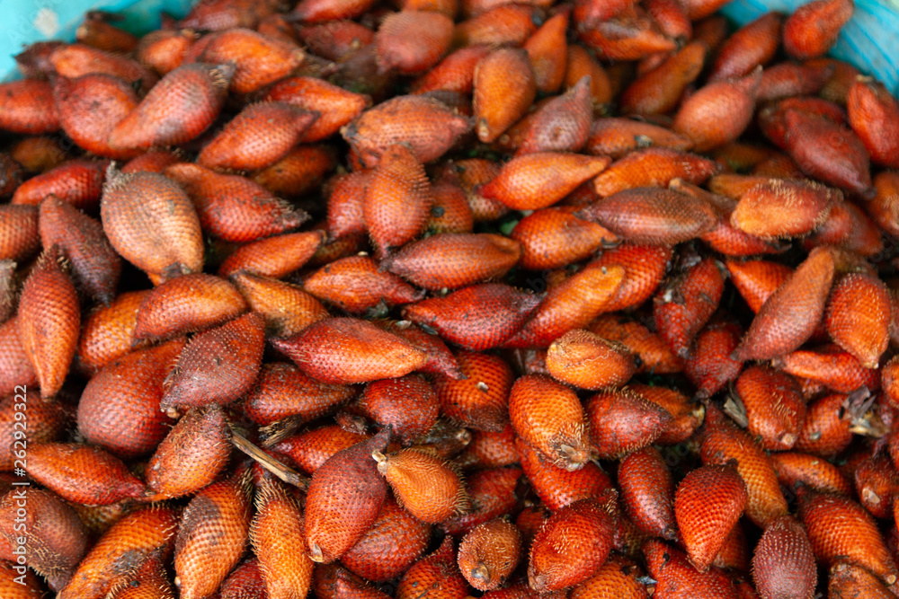Salak fruit for sale at the market in Thailand. Salacca wallichiana or Salacca zalacca is local traditional Thai fruit, fruit shop in Thailand Salak fruit for sale at the market in Thailand. Salacca wallichiana or Salacca zalacca is local traditional Thai fruit, fruit shop in Thailand
