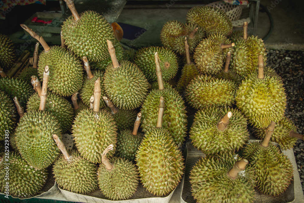 fresh durians in the durian market. fresh durians in the durian market.
