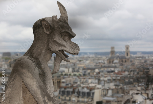 statue of a gargoyle the mythical winged monster on the cathedra
