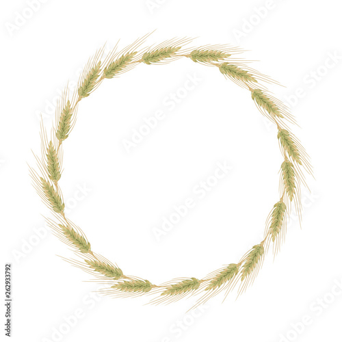 Ears of barley, wheat or rye. Round wreath isolated on white background. Vector illustration of bread cereals in cartoon flat style.