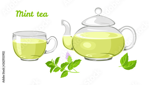 Mint tea set. Glass cup and teapot, a branch of blooming fresh mint isolated on white background. Vector illustration of hot, healthy herbal drink in cartoon flat style.