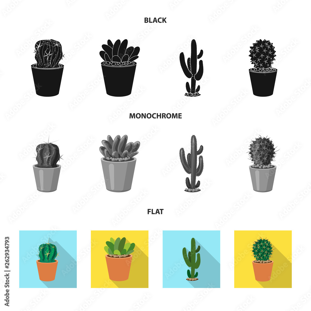 Vector design of cactus and pot logo. Set of cactus and cacti stock symbol for web. Vector design of cactus and pot logo. Set of cactus and cacti stock symbol for web.