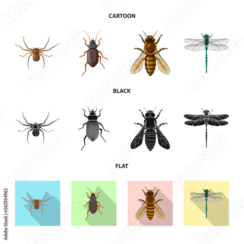 Vector illustration of insect and fly icon. Collection of insect and element stock vector illustration. © Svitlana