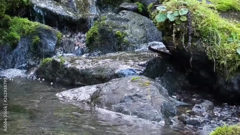 Water cascading over moss covered rocks in a mountain stream on a warm spring day Water cascading over moss covered rocks in a mountain stream on a warm spring day