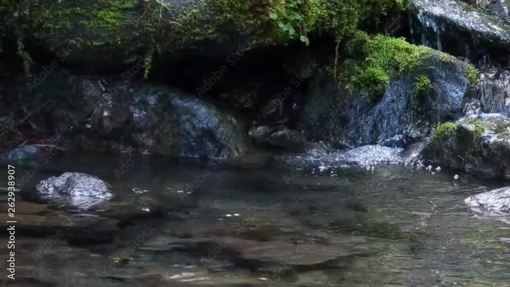 Water cascading over moss covered rocks in a mountain stream on a warm spring day Water cascading over moss covered rocks in a mountain stream on a warm spring day
