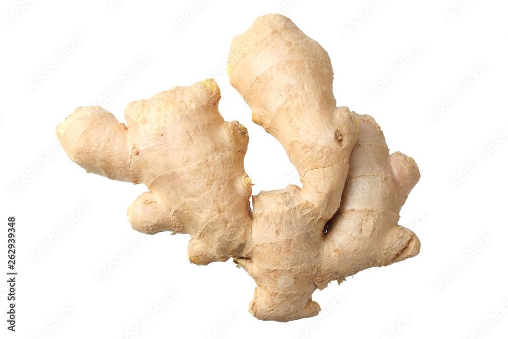 ginger root isolated on white background top view ginger root isolated on white background top view