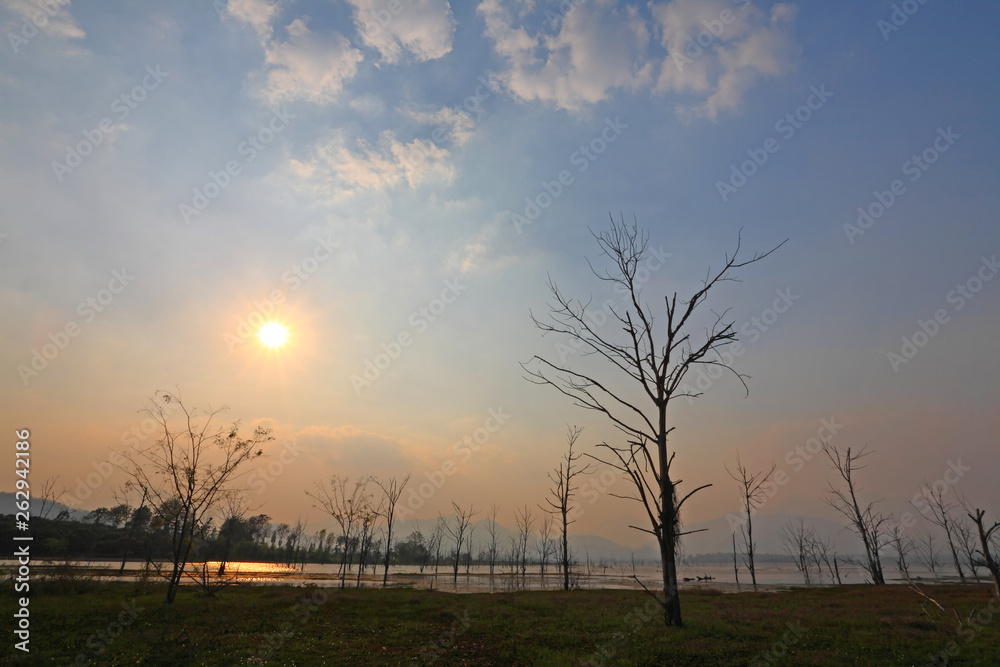 Fototapeta premium Beautiful sunset of silhouette dead trees at the reservoir is great, very wide. Natural background