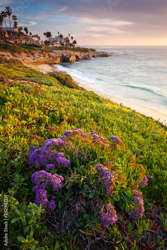 La Jolla in Spring, San Diego, California