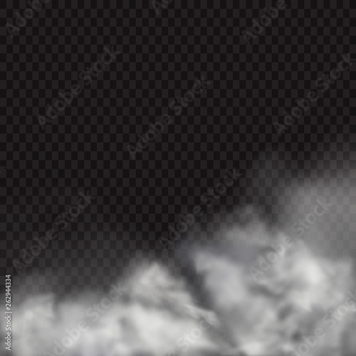 Fog or smoke isolated transparent special effect. White vector cloudiness, mist or smog background. Vector illustration - Vector