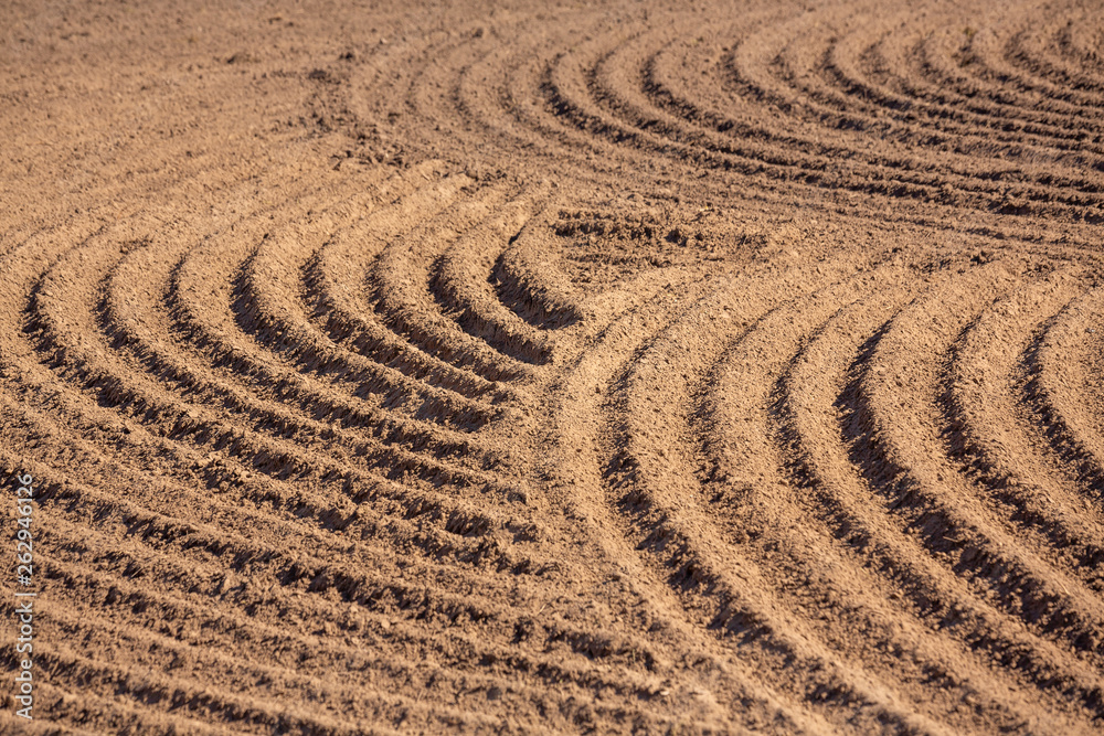 Naklejka premium brown ground plowed field, harrow lines. Arable background. Pattern of curved ridges and furrows in a humic sandy field. A freshly ploughed field showing a geometric pattern of shadows in the furrows