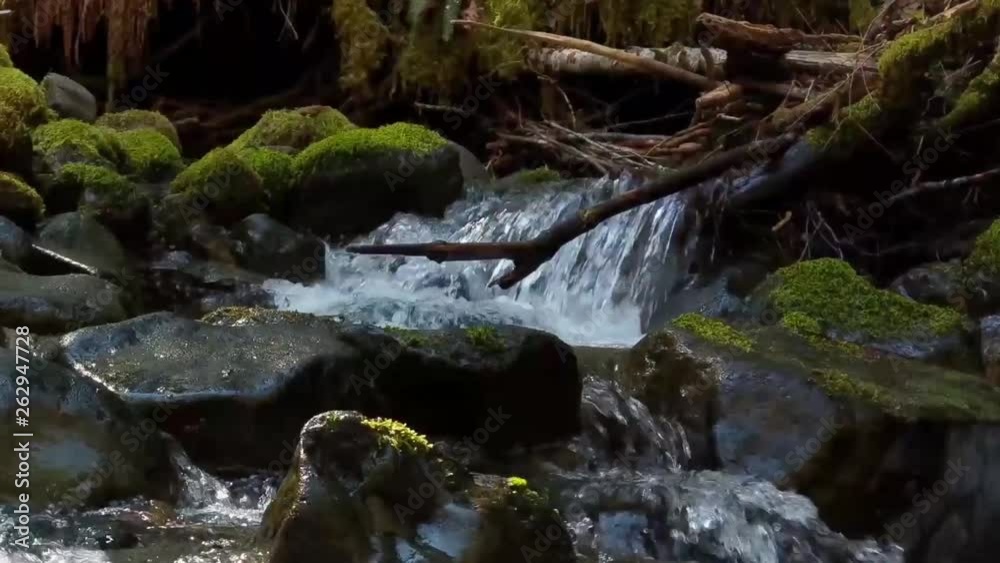 water cascading over moss covered rocks in a mountain stream on a warm spring day water cascading over moss covered rocks in a mountain stream on a warm spring day