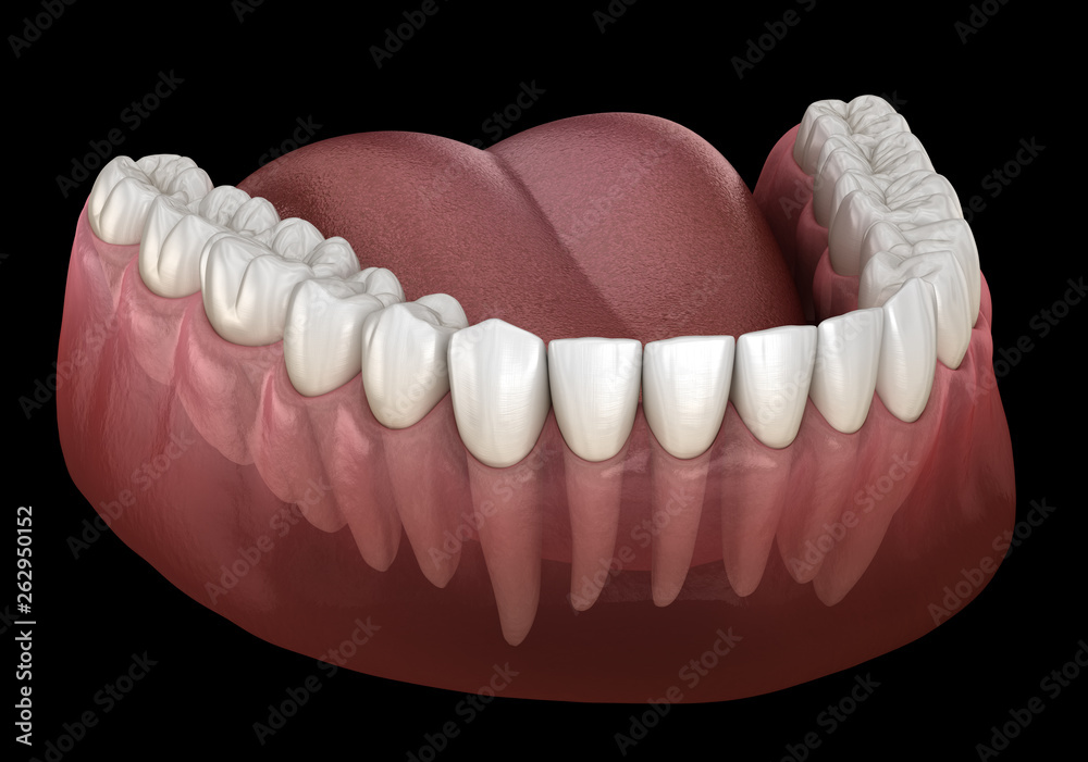 Fototapeta premium Mandibular human gum and teeth. Medically accurate tooth 3D illustration