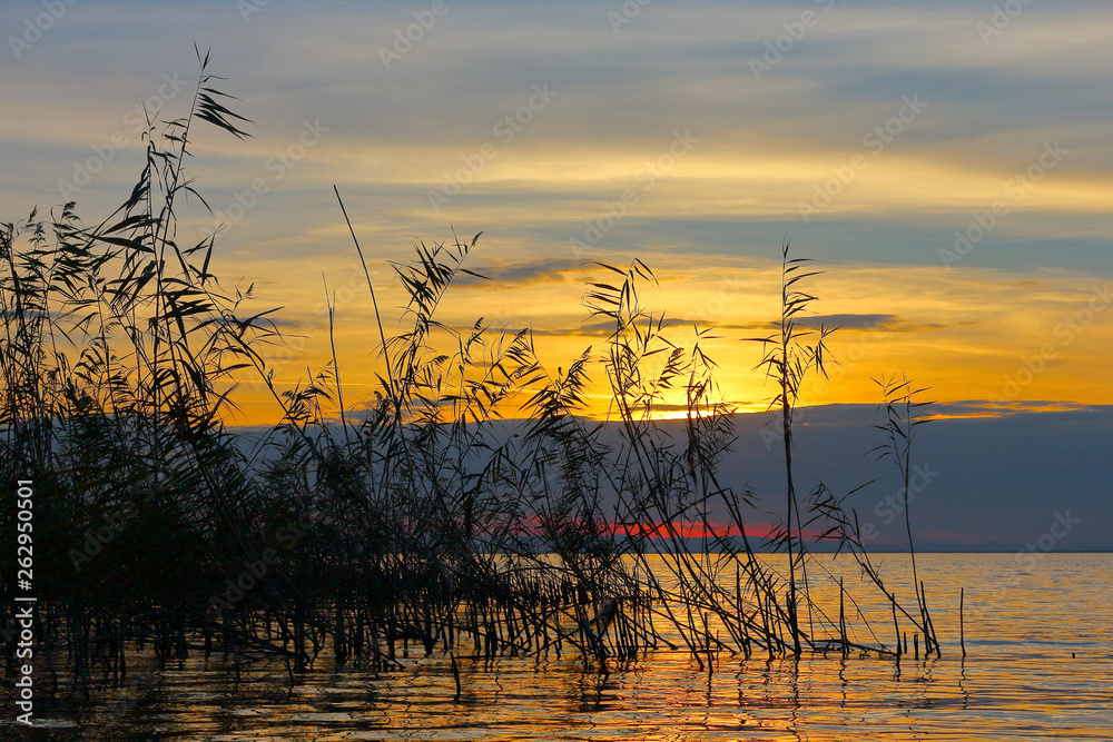 Beautiful golden sunset over lake with silhouettes of reeds Beautiful golden sunset over lake with silhouettes of reeds