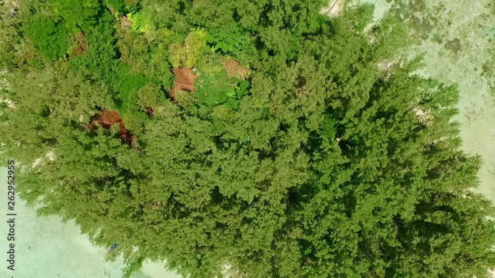 custom made wallpaper toronto digitalJAKARTA, INDONESIA. A deciduous forest among white sandy beach. Top aerial view over the isolated island.
