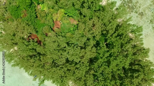 Wallpaper Mural JAKARTA, INDONESIA. A deciduous forest among white sandy beach. Top aerial view over the isolated island. Torontodigital.ca