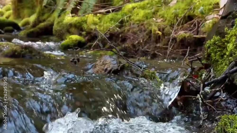 Water cascading over moss covered rocks in a mountain stream on a warm spring day Water cascading over moss covered rocks in a mountain stream on a warm spring day