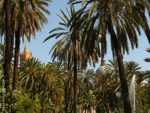 Palermo  Sicily  Italy. Mediterranean garden with palm trees and a bell tower. Rich Mediterranean vegetation with the background of a bell tower.