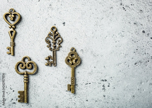 Overhead shoot of many different old keys on old gray concrete background. Concept with copy space. © Iryna Melnyk