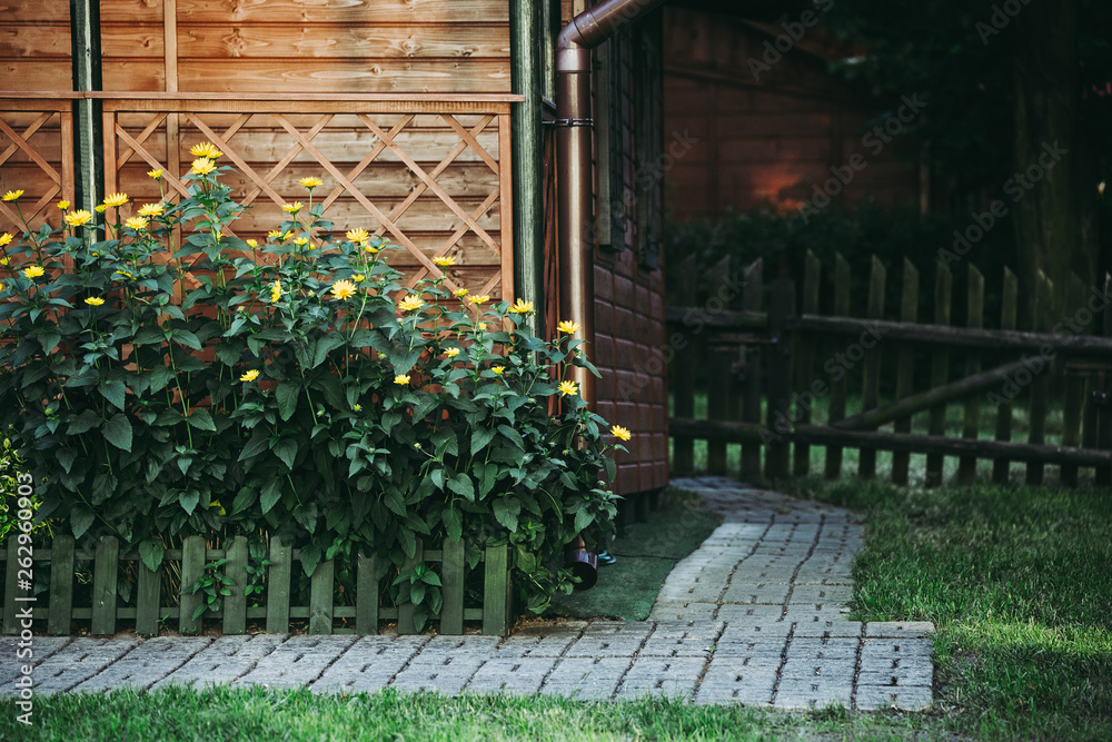Yellow flowers on flowerbed in garden. Idyllic rural scene.
