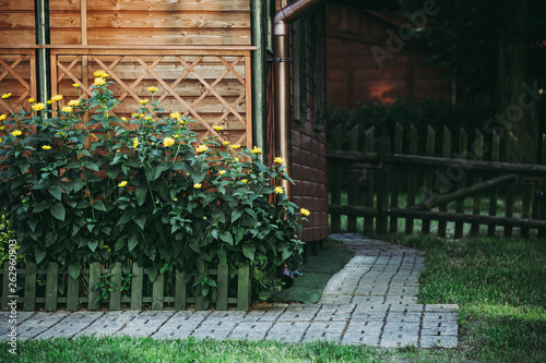 Obraz na płótnie Yellow flowers on flowerbed in garden. Idyllic rural scene. w salonie