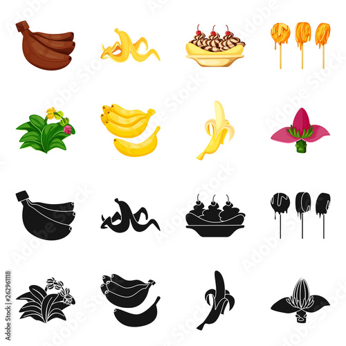 Vector illustration of natural and vegetarian icon. Collection of natural and eating stock vector illustration.
