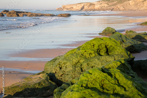 Rock with Seaweed and Beach, Monte Clerigo, Portugal