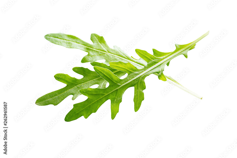 Fototapeta premium Arugula leaves isolated on white background.