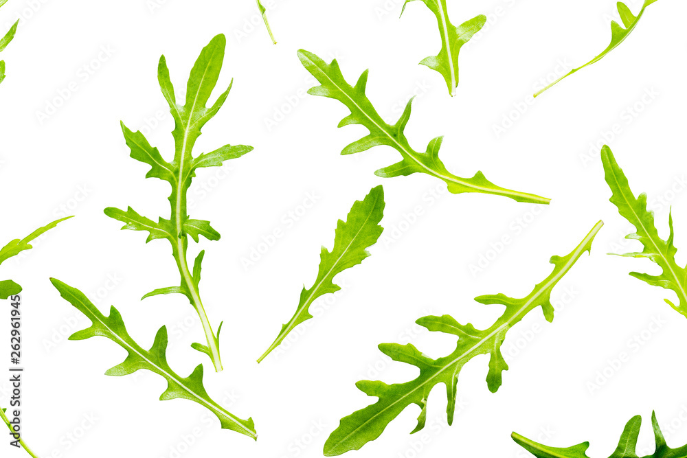 Arugula leaves isolated on white background.