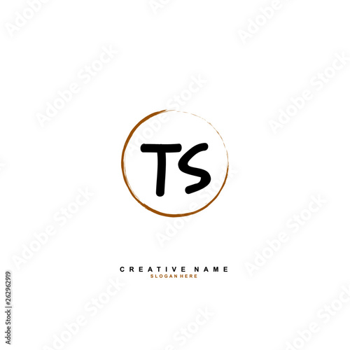 T S TS Initial abstract logo template vector