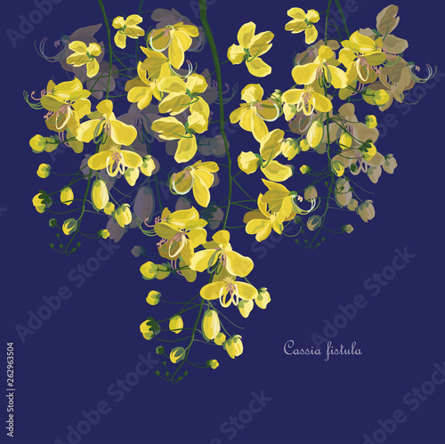 Cassia fistula flower symbol of Thailand