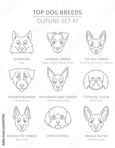 Top dog breeds. Hunting, shepherd and companion dogs set. Pet outline collection