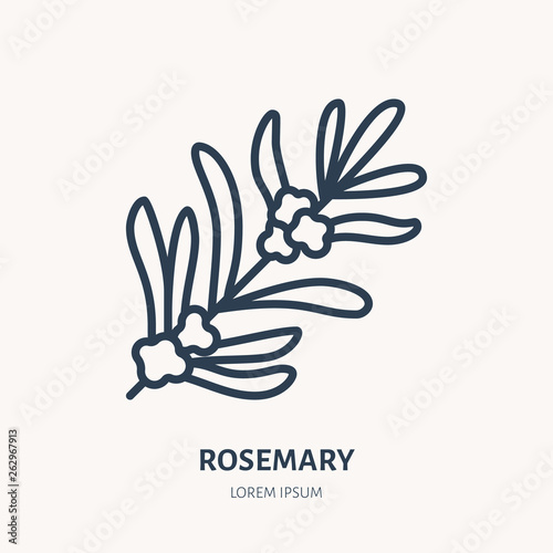Rosemary flat line icon. Medicinal plant leaves vector illustration. Thin sign for herbal medicine, tree branch logo
