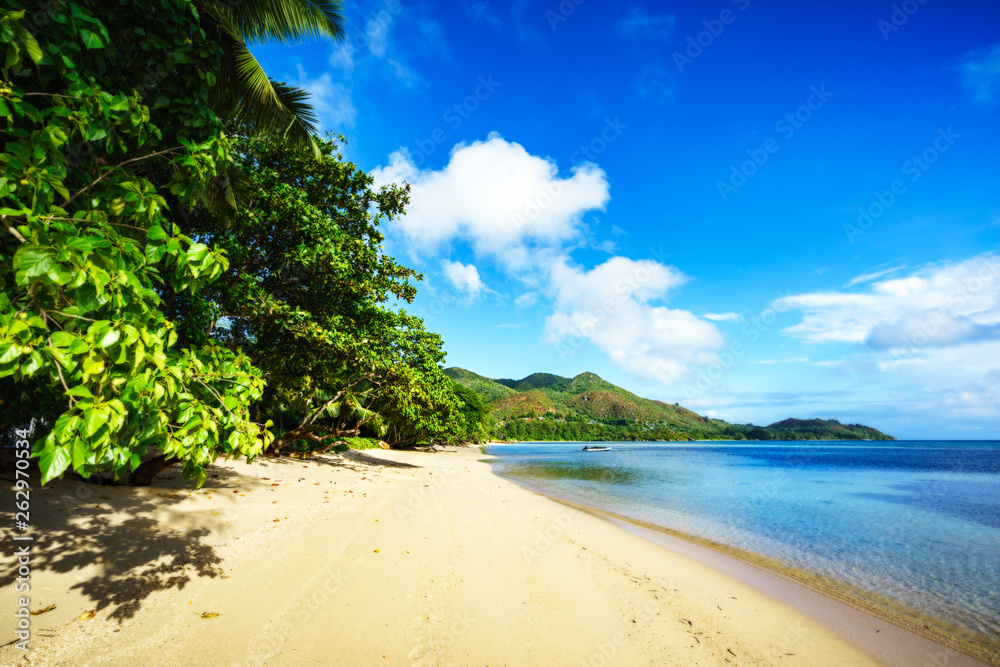 golden paradise beach at anse possession, praslin, seychelles 1 golden paradise beach at anse possession, praslin, seychelles 1