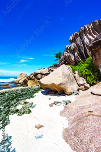 Coral reef and big granite rocks with palms at the beach of grand anse, la digue, seychelles 29