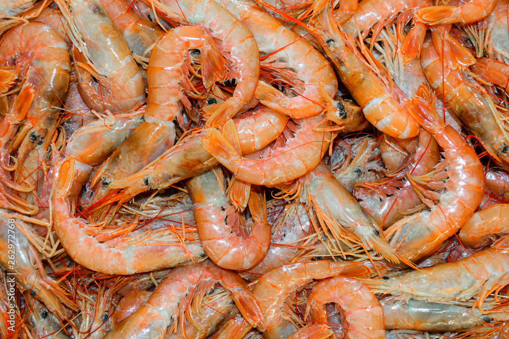 Pink prawns background Pink prawns background