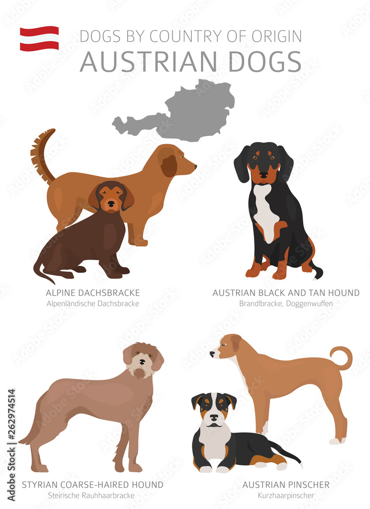 Dogs by country of origin. Austrain dog breeds. Shepherds, hunting, herding, toy, working and service dogs  set
