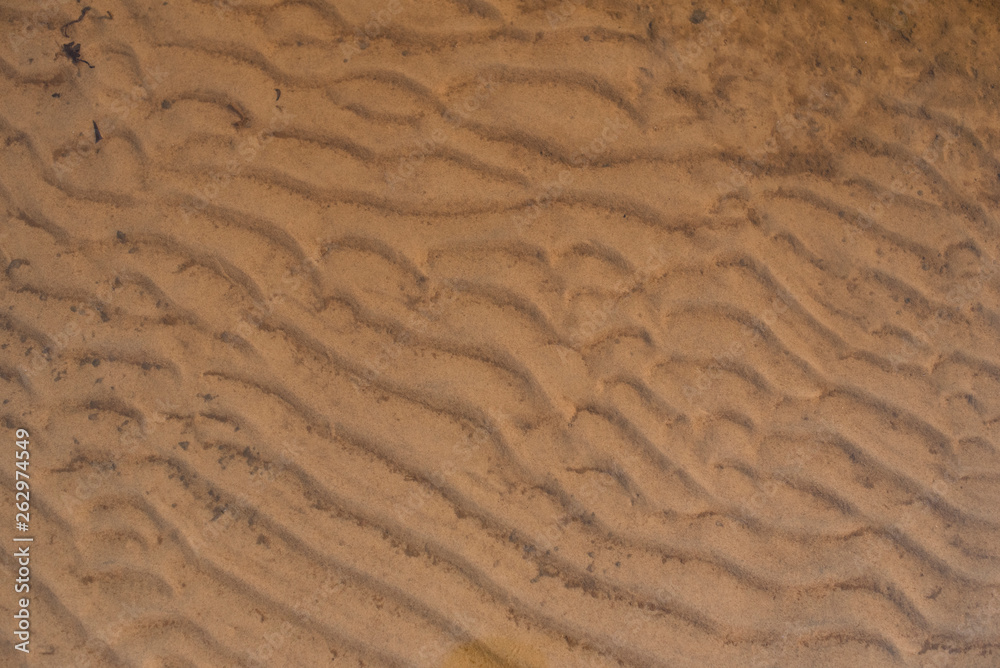 Fototapeta premium texture of wet sand 