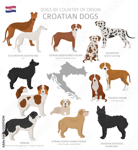 Dogs by country of origin. Croatian dog breeds. Shepherds, hunting, herding, toy, working and service dogs  set