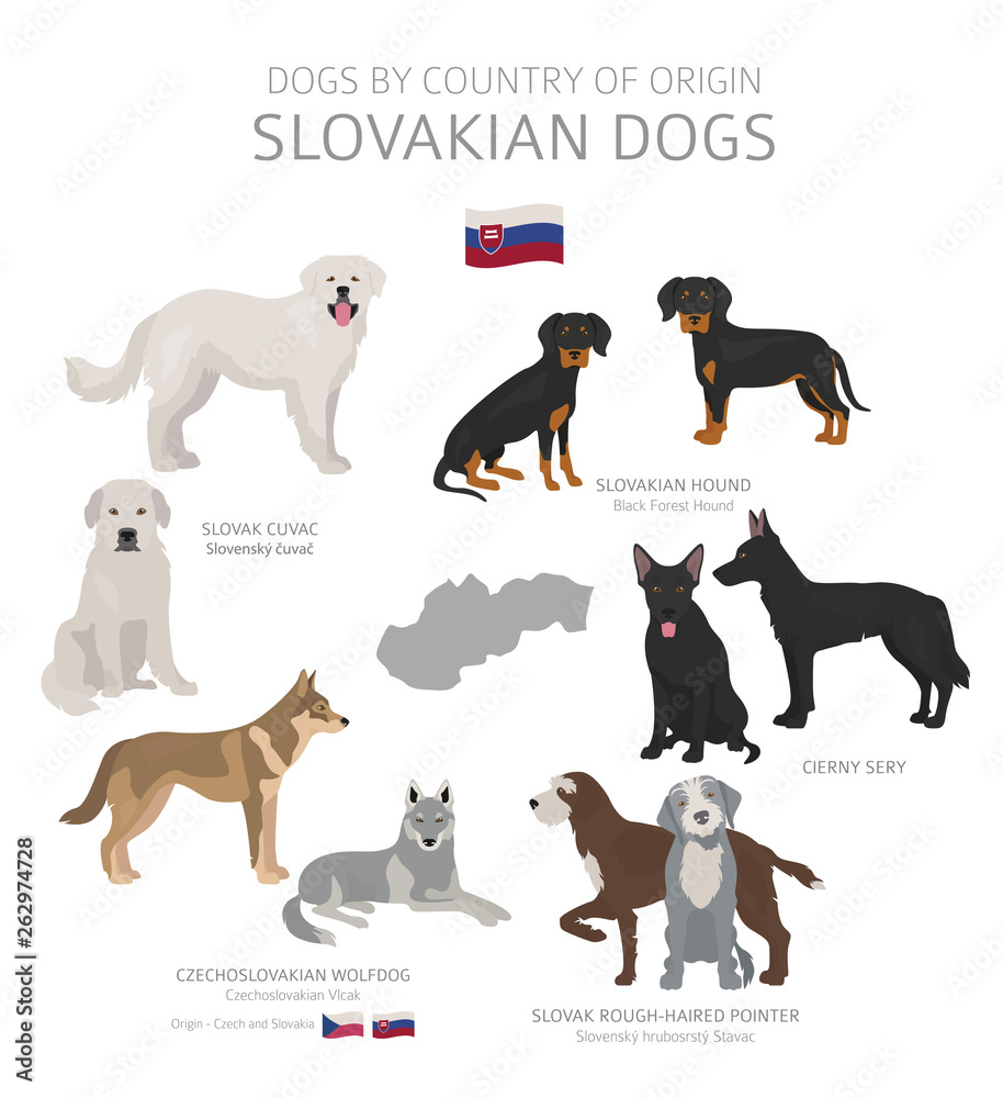 Dogs by country of origin. Slovakian dog breeds. Shepherds, hunting, herding, toy, working and service dogs  set