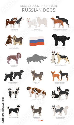 Dogs by country of origin. Russian dog breeds. Shepherds, hunting, herding, toy, working and service dogs  set