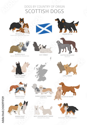 Dogs by country of origin. Scottish dog breeds. Shepherds, hunting, herding, toy, working and service dogs  set