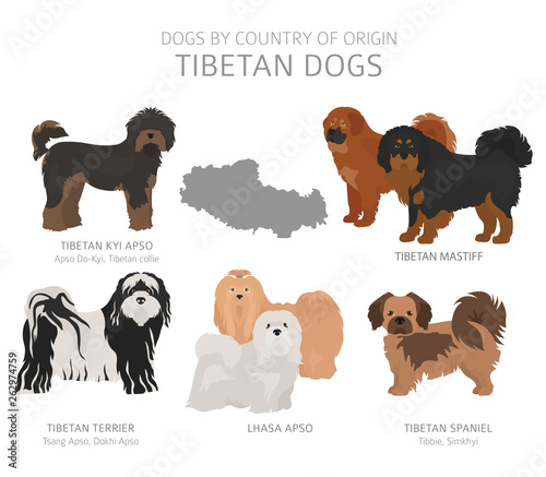 Dogs by country of origin. Tibetan dog breeds. Shepherds, hunting, herding, toy, working and service dogs  set