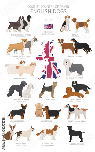 Dogs by country of origin. English dog breeds. Shepherds, hunting, herding, toy, working and service dogs  set