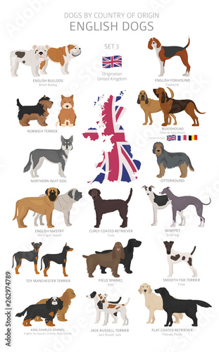 Dogs by country of origin. English dog breeds. Shepherds, hunting, herding, toy, working and service dogs set