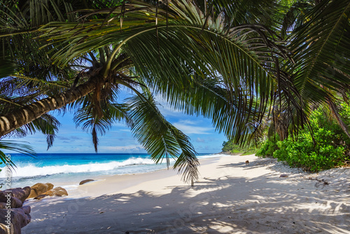 beautiful paradise beach, anse bazarca, seychelles 17