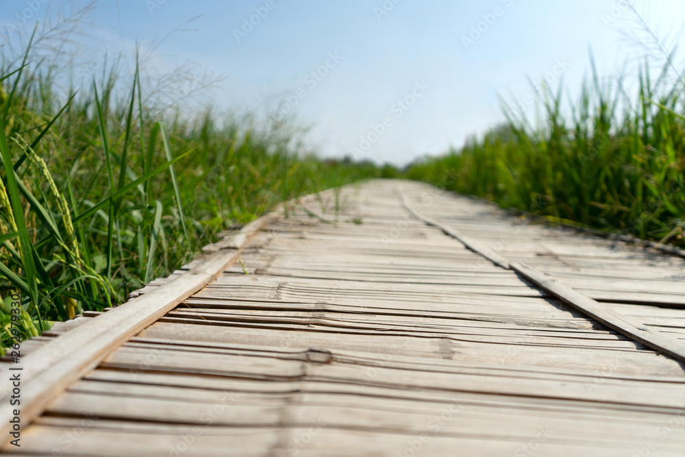 Fototapeta premium Bamboo walkway on green field.