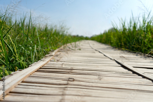 Bamboo walkway on green field. photo