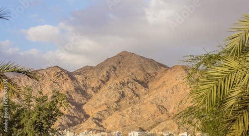 Canvas Print bare rocky sand stone desert mountain background in symmetry palm tree branches